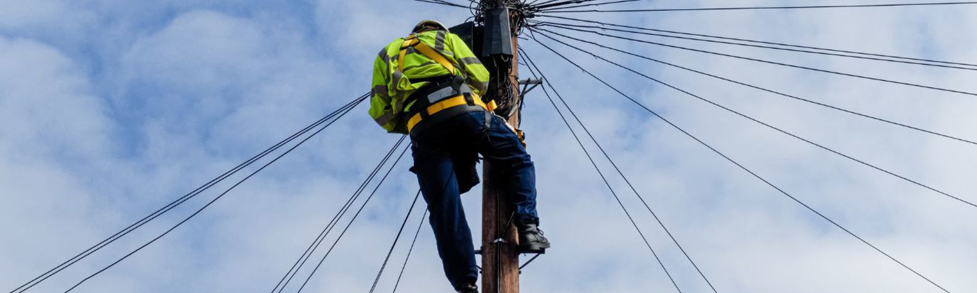Telegraph pole HERO (1336 × 560px)